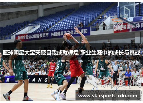 篮球明星大宝突破自我成就辉煌 职业生涯中的成长与挑战